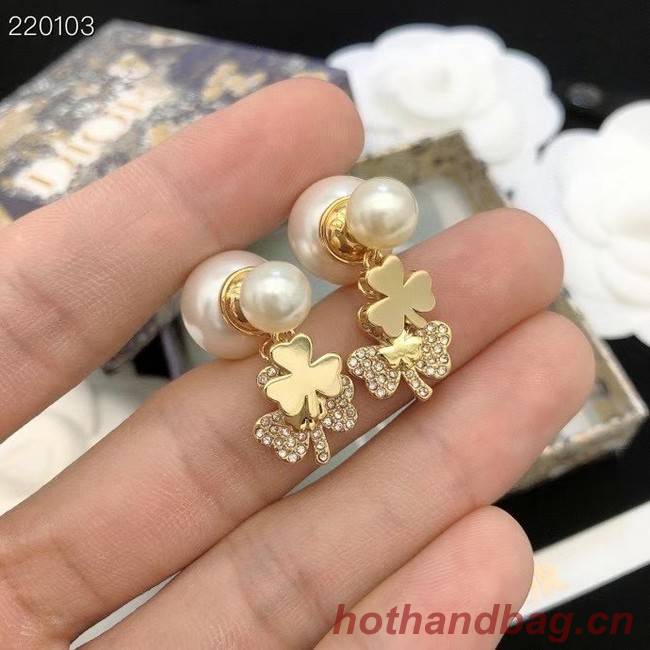 Dior Earrings CE7692