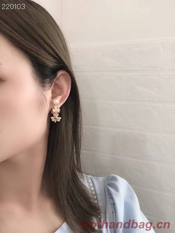 Dior Earrings CE7692