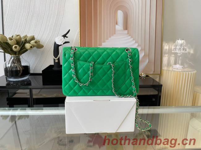 Chanel classic handbag Lambskin&silver Metal 01112 green