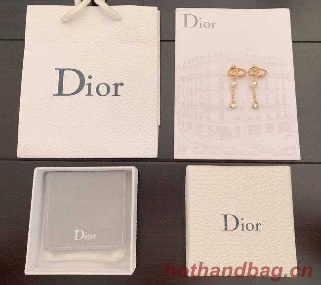 Dior Earrings CE7980