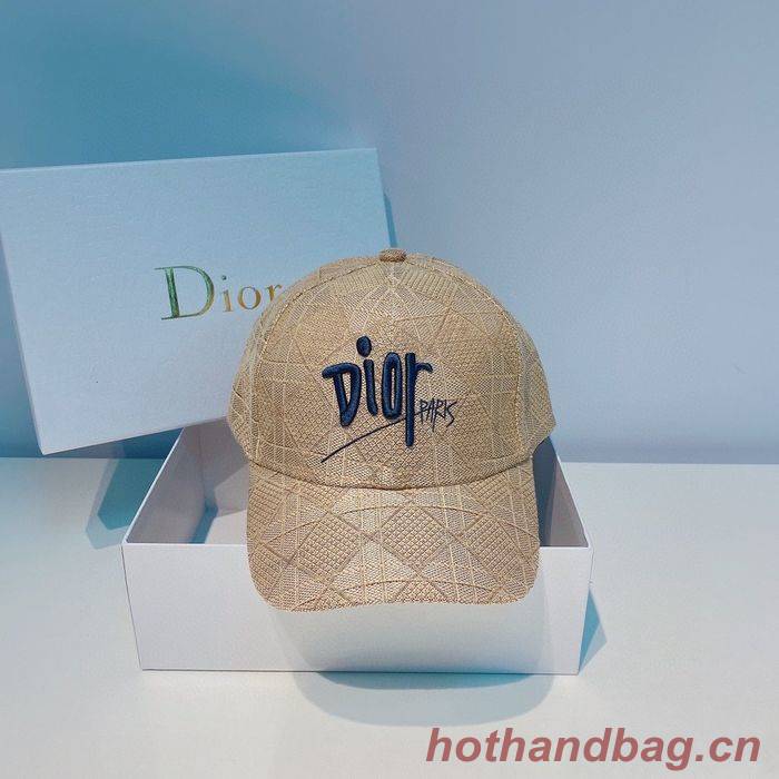 Dior Hats CDH00023