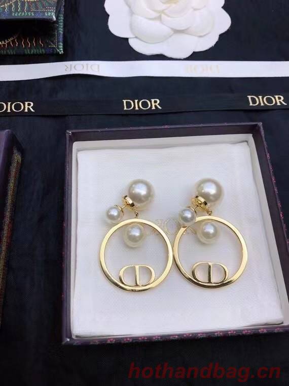 Dior Earrings CE7811