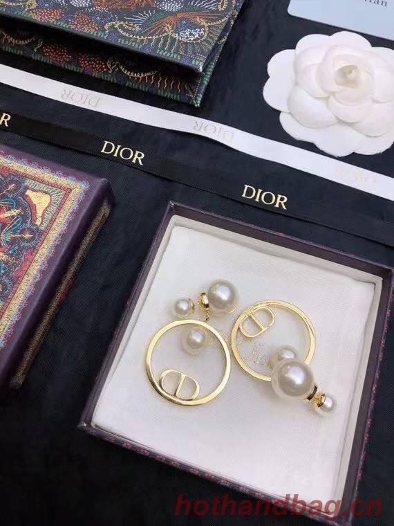 Dior Earrings CE7811