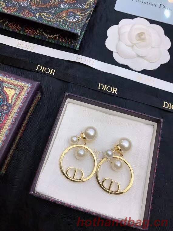 Dior Earrings CE7811