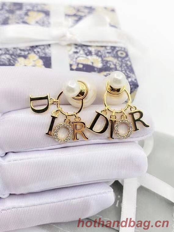 Dior Earrings CE8001