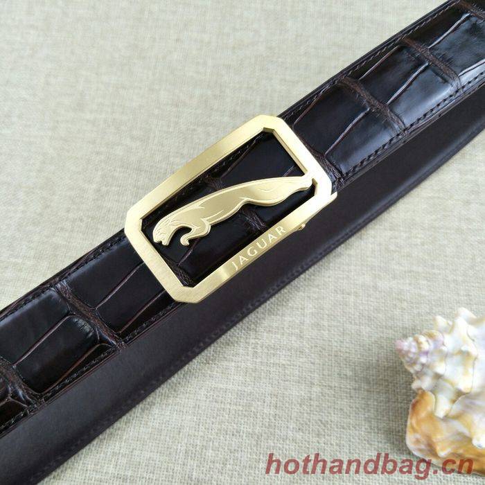 Jaguar Belt 34MM JAB00002-1