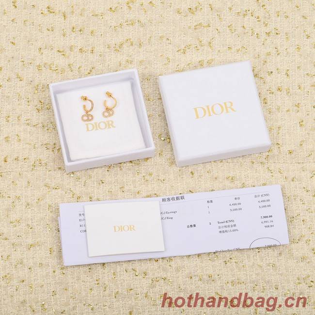 Dior Earrings CE8053