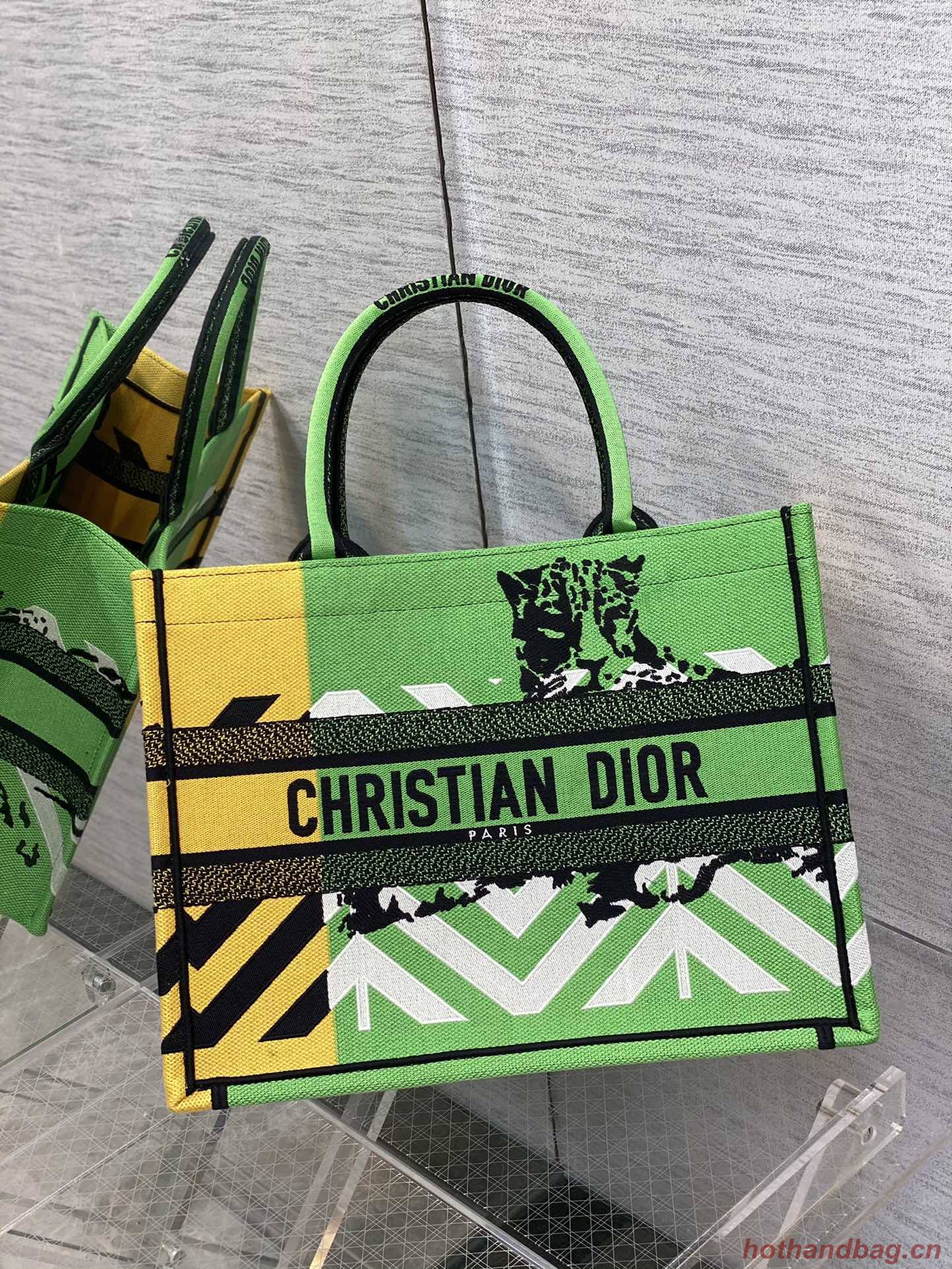 DIOR BOOK TOTE Embroidery C1287-28 green