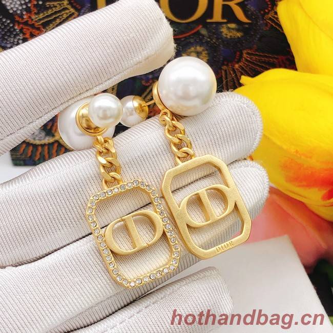 Dior Earrings CE8099