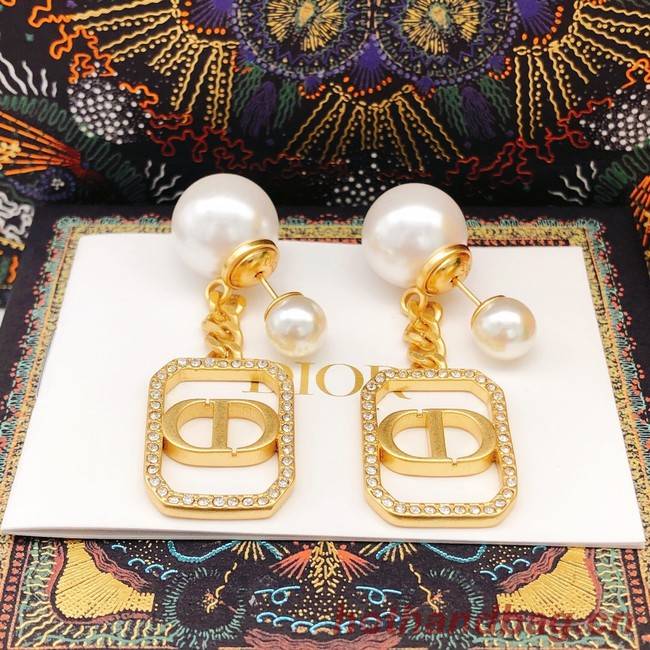 Dior Earrings CE8099