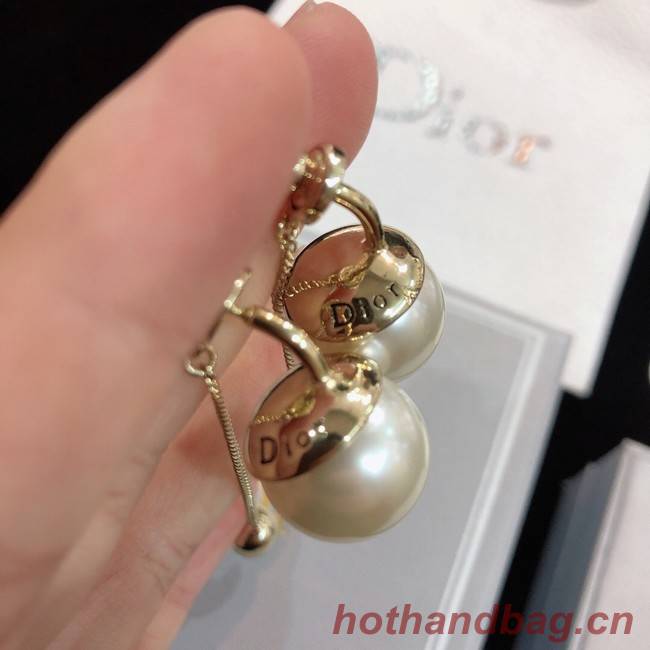 Dior Earrings CE8172