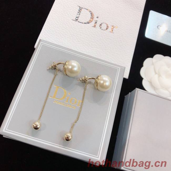 Dior Earrings CE8172