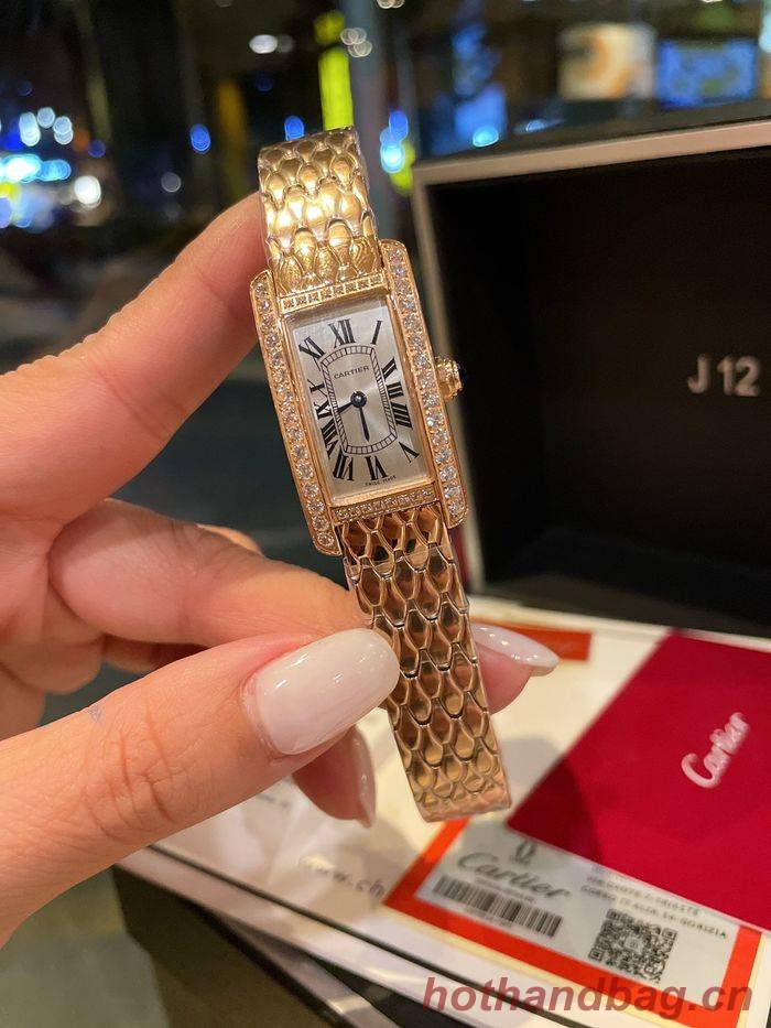 Cartier Watch CTW00085