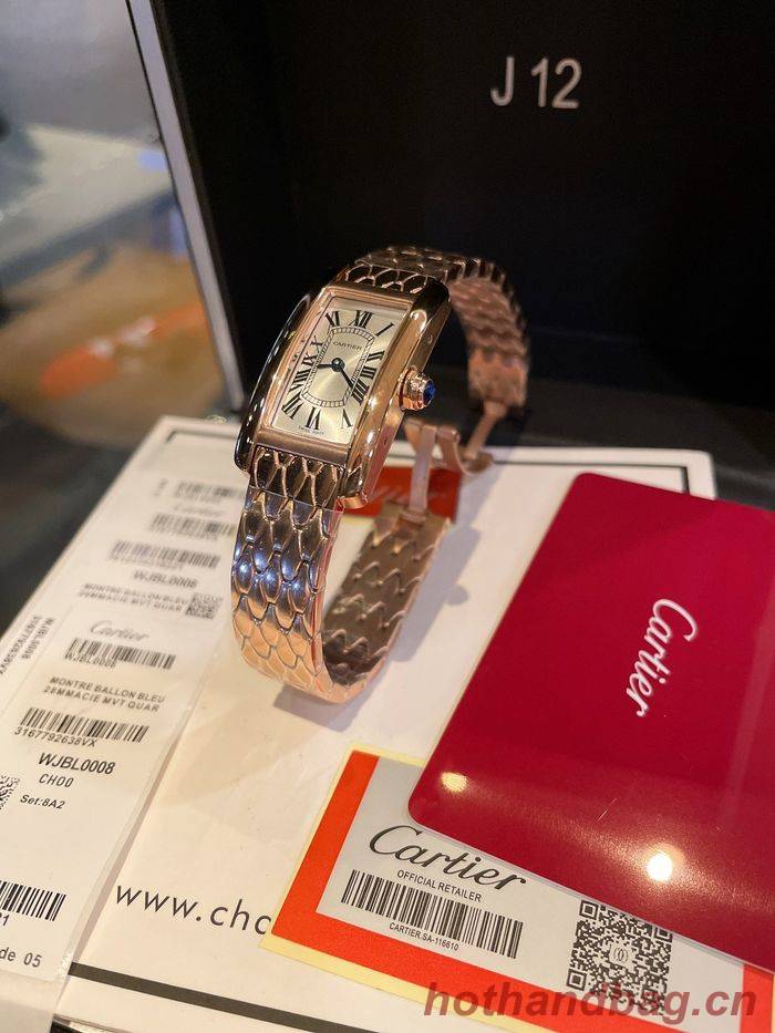 Cartier Watch CTW00086