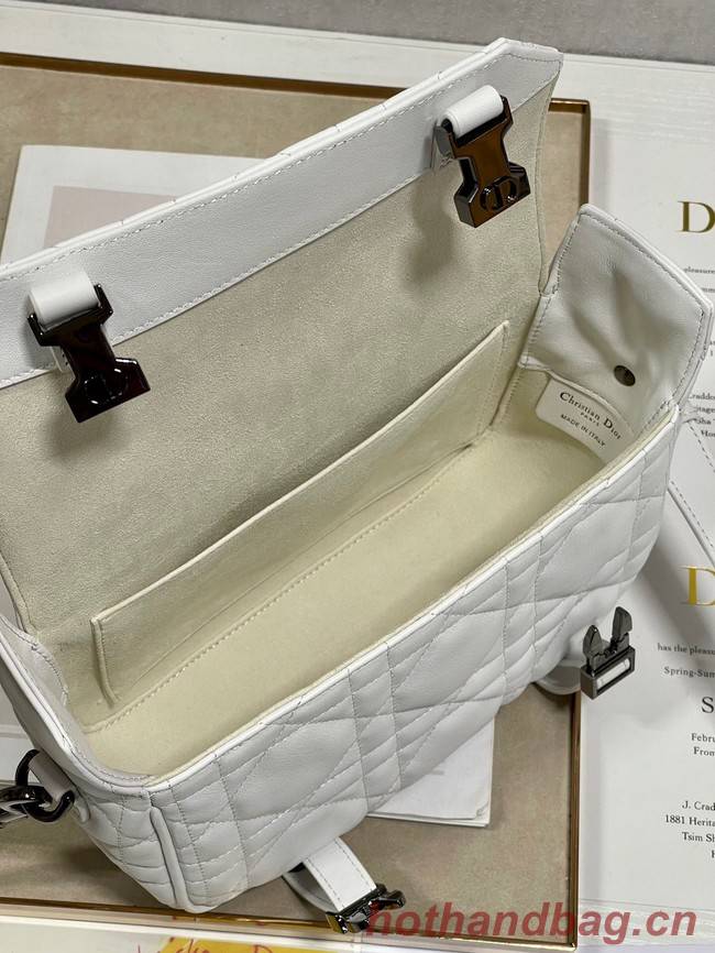 DIOR BOBBY BAG leather 6619 white