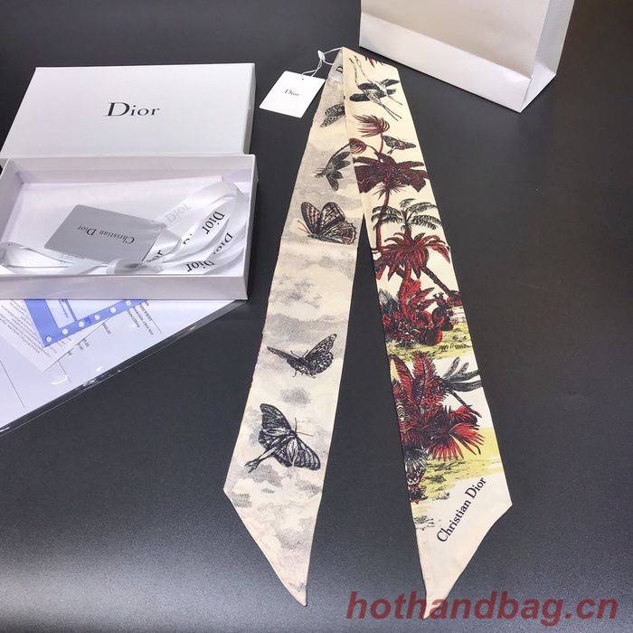 Dior Scarf DIS00001