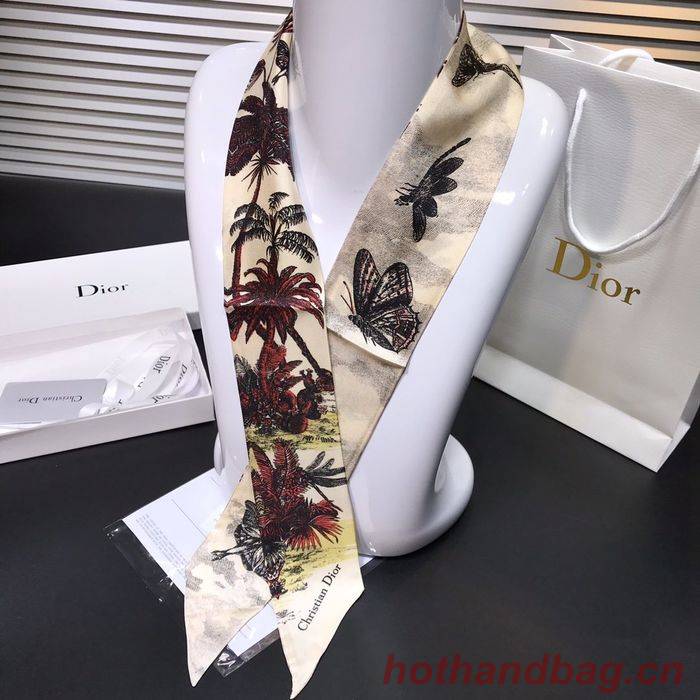 Dior Scarf DIS00001