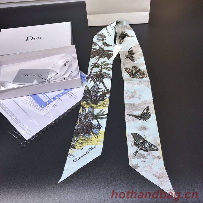 Dior Scarf DIS00002