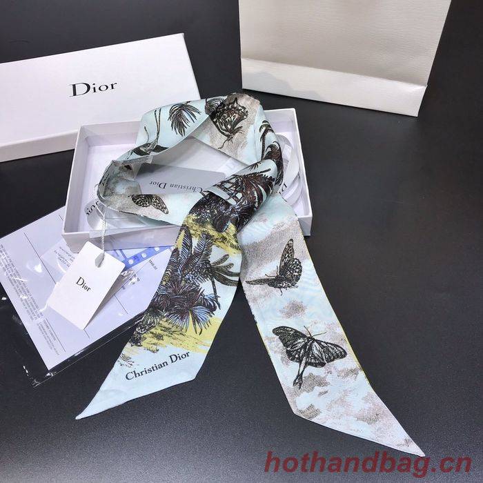 Dior Scarf DIS00002