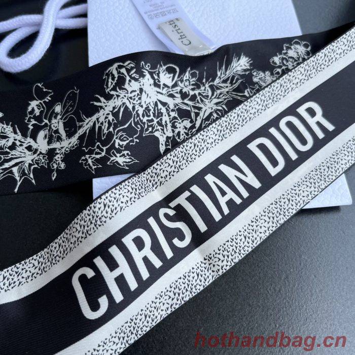 Dior Scarf DIS00005