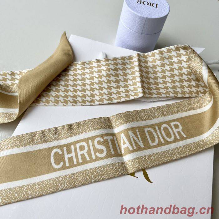 Dior Scarf DIS00011