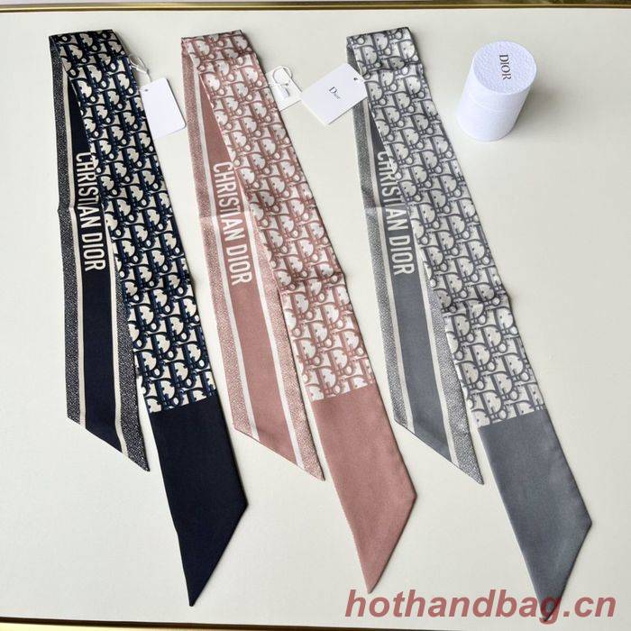 Dior Scarf DIS00013