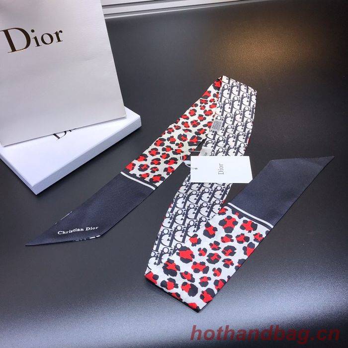 Dior Scarf DIS00016