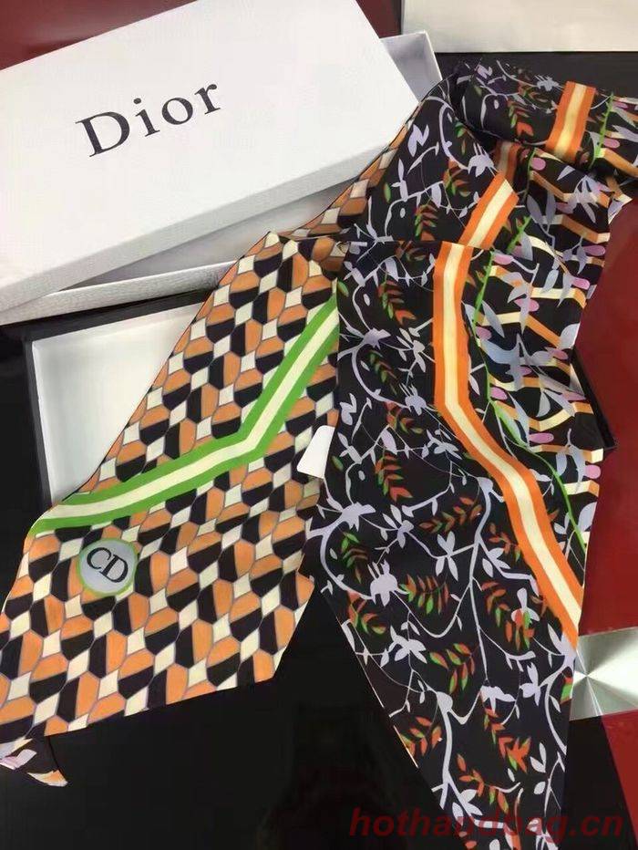 Dior Scarf DIS00018