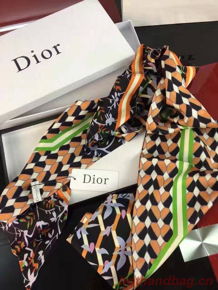 Dior Scarf DIS00018