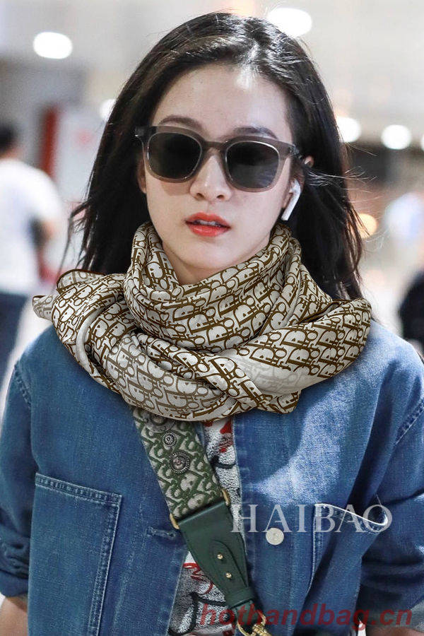 Dior Scarf DIS00023