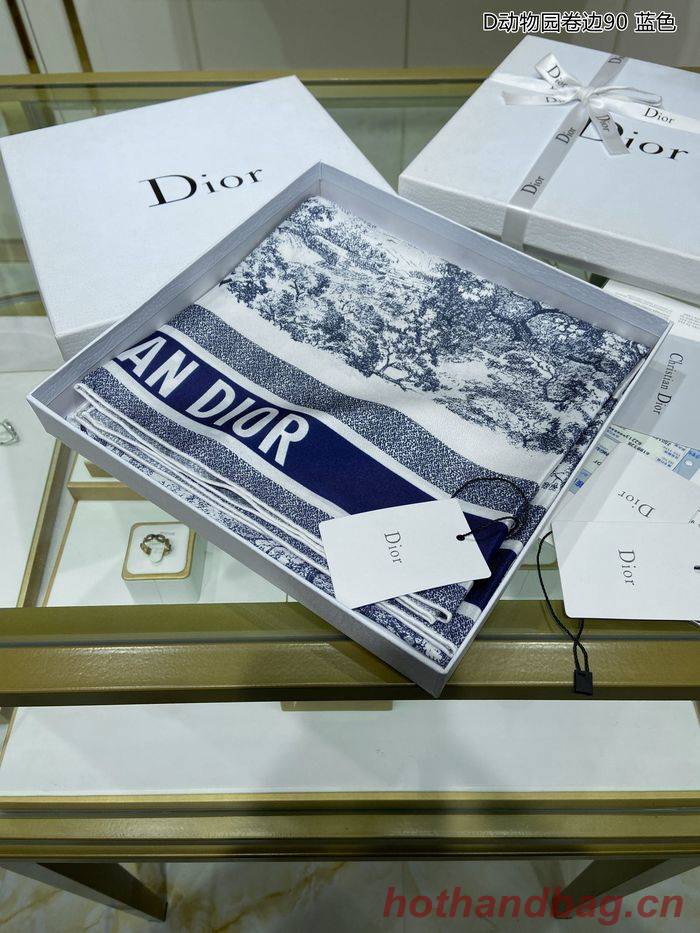 Dior Scarf DIS00031