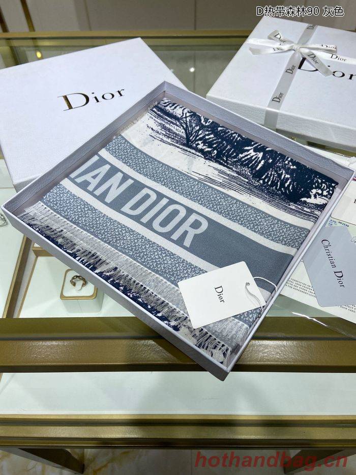 Dior Scarf DIS00035