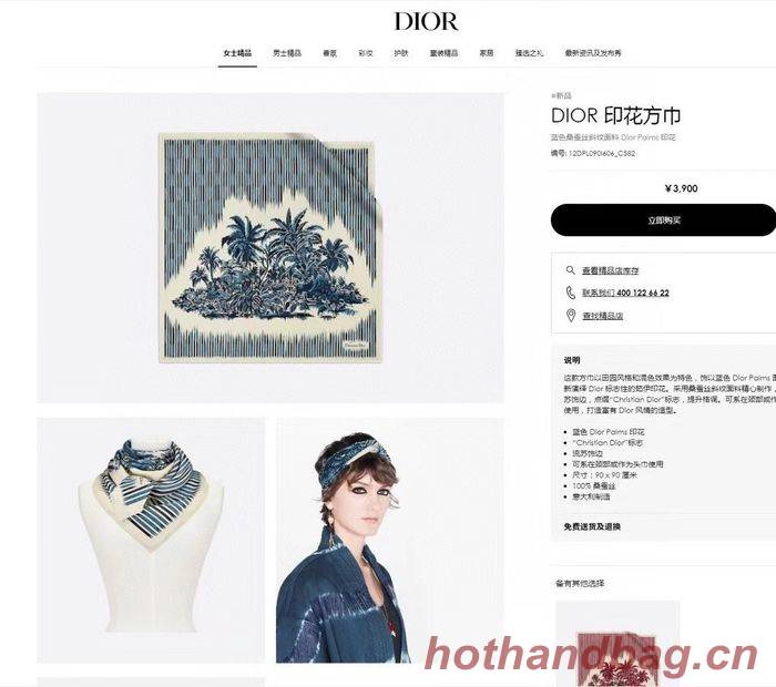 Dior Scarf DIS00040