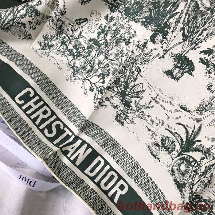 Dior Scarf DIS00043