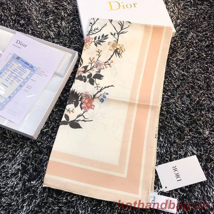 Dior Scarf DIS00044