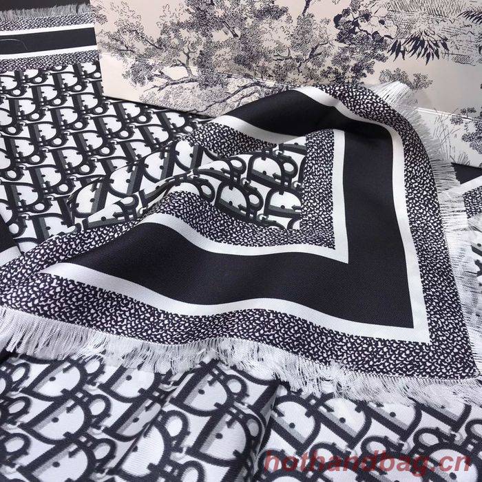 Dior Scarf DIS00053