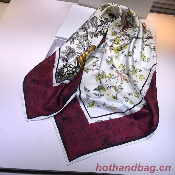 Dior Scarf DIS00056