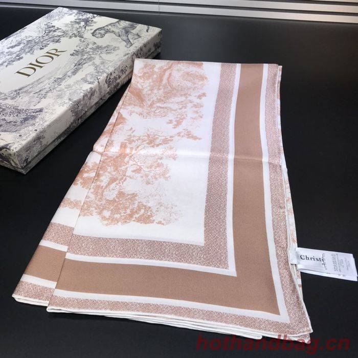 Dior Scarf DIS00060