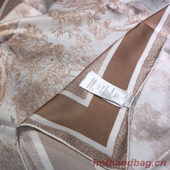 Dior Scarf DIS00060