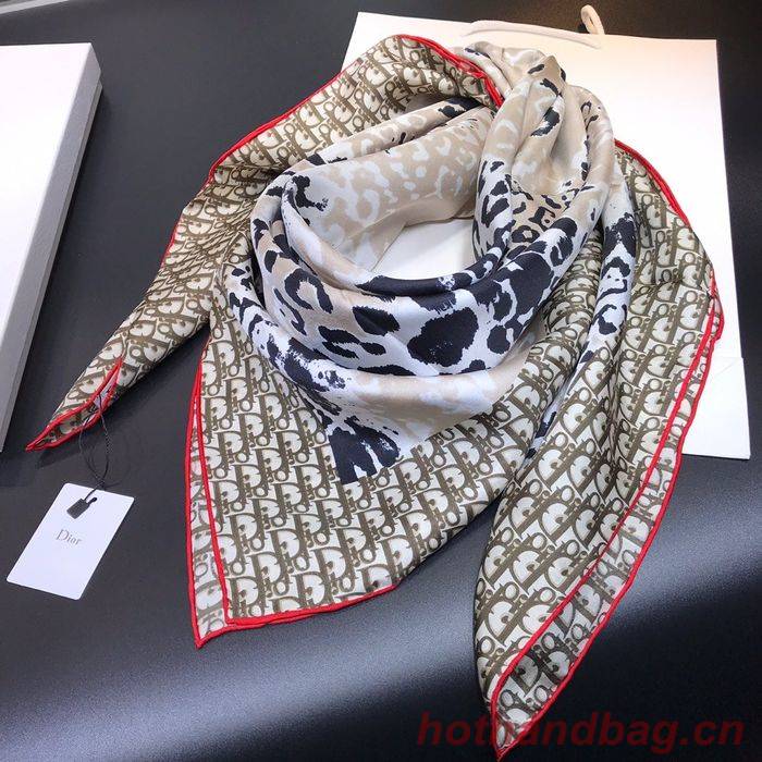 Dior Scarf DIS00064