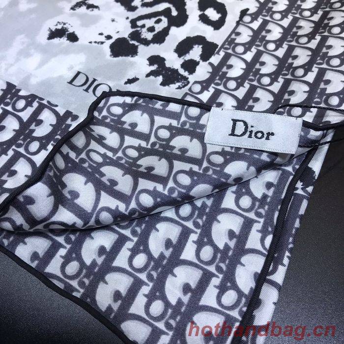 Dior Scarf DIS00065