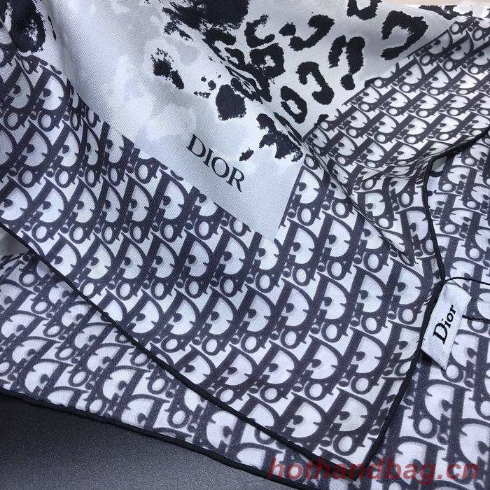 Dior Scarf DIS00065