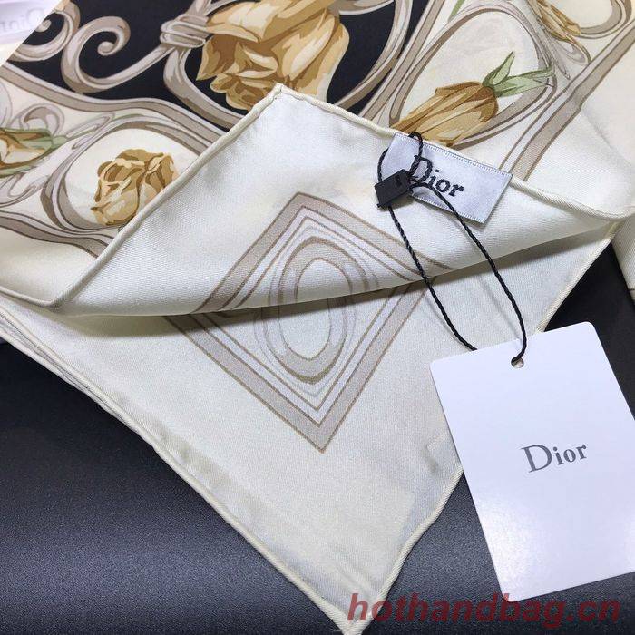 Dior Scarf DIS00066