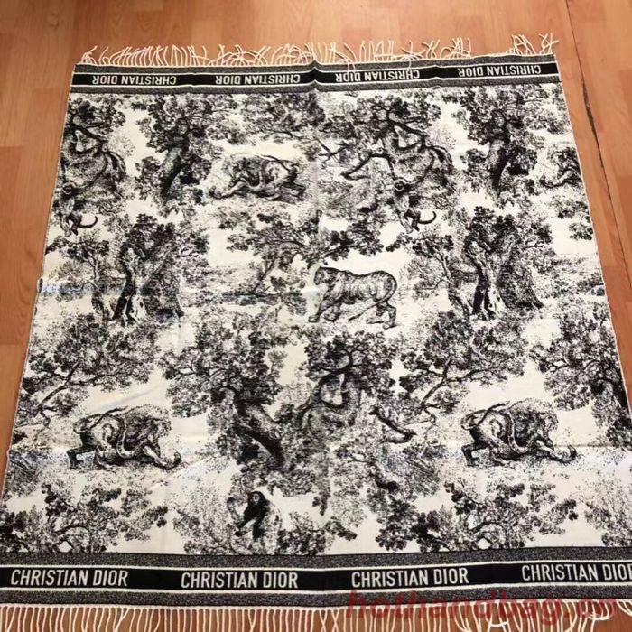 Dior Scarf DIS00067