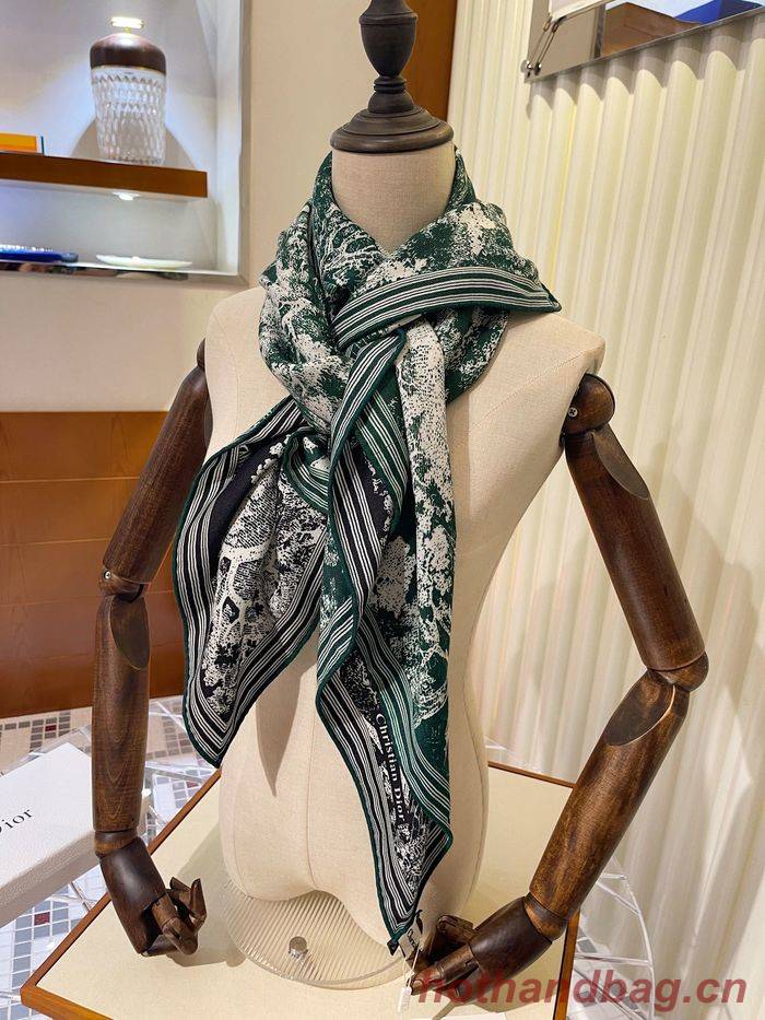 Dior Scarf DIS00071