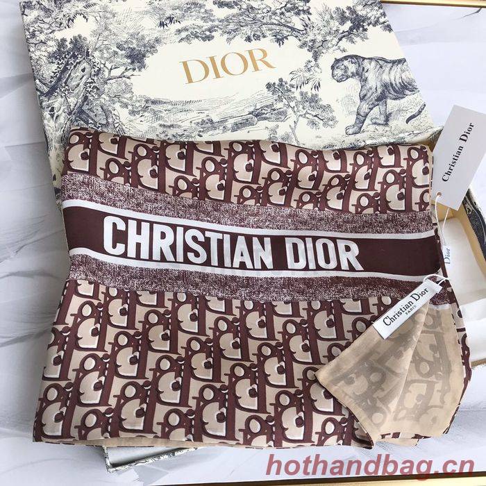 Dior Scarf DIS00073