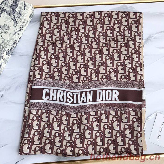 Dior Scarf DIS00073