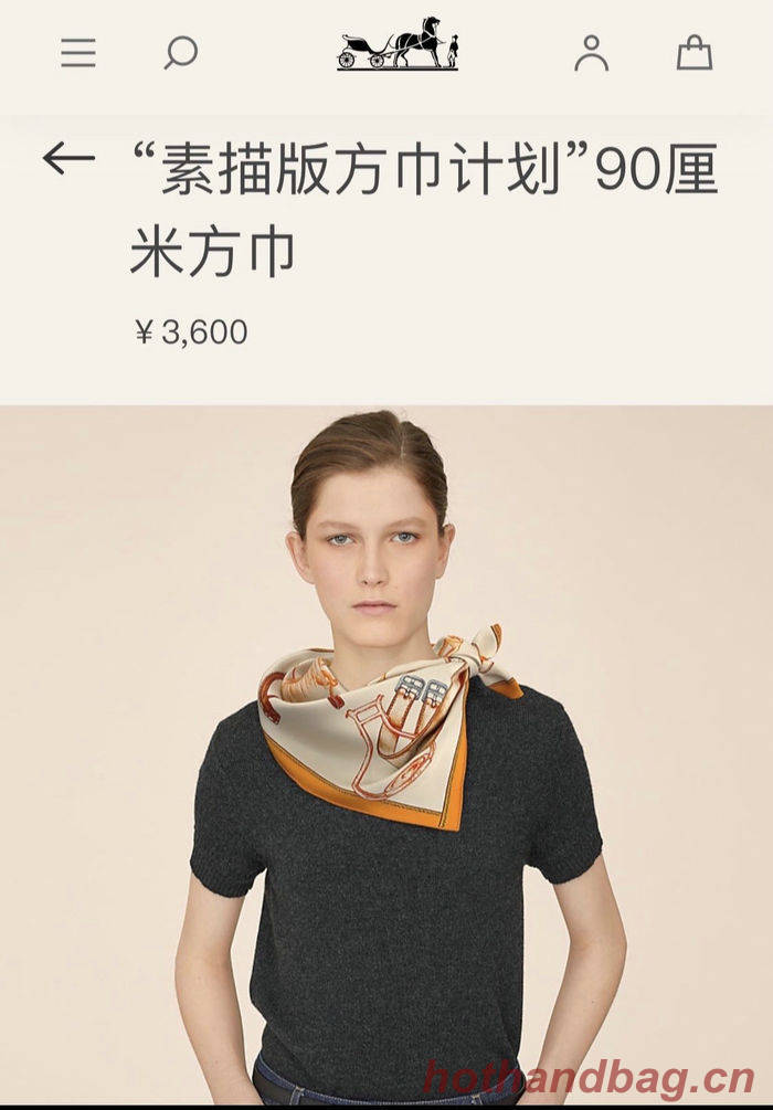 Hermes Scarf HMS00087