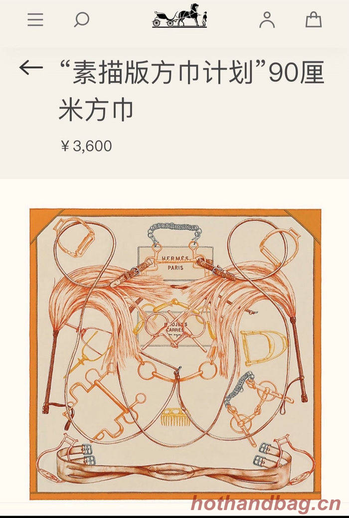 Hermes Scarf HMS00087