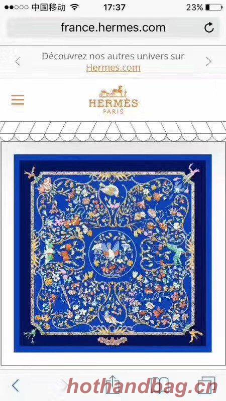 Hermes Scarf HMS00221